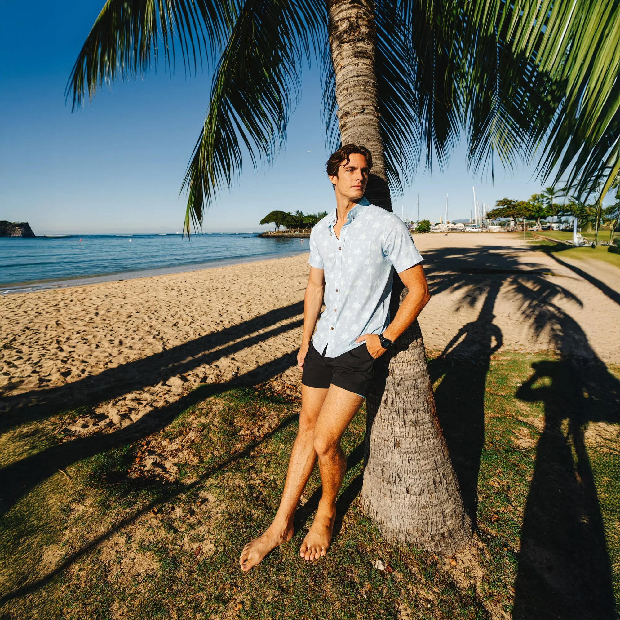 Pastel Palms sold by Bermies product image thumbnail 2