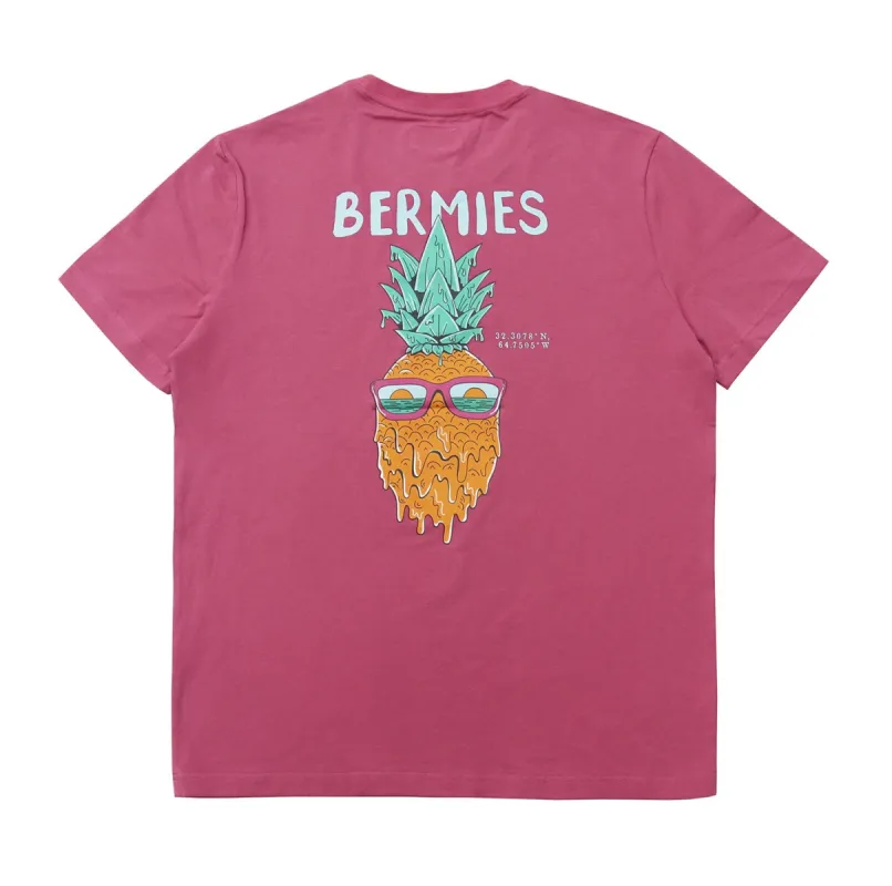 Pineapple Fiesta sold by Bermies