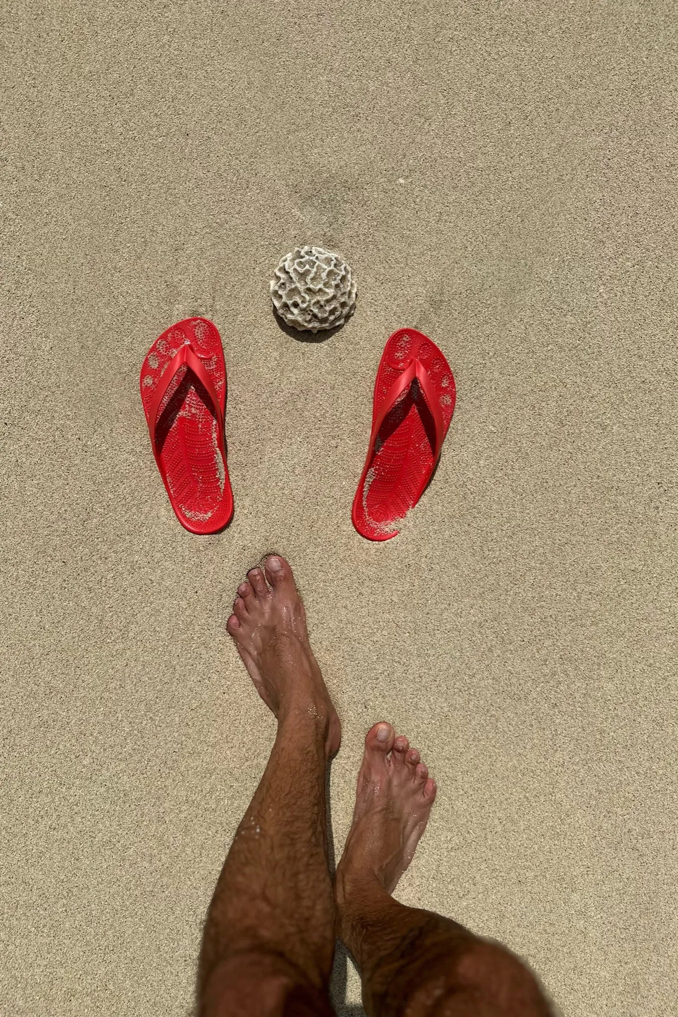 FIRE RED sold by Bermies product image thumbnail 2