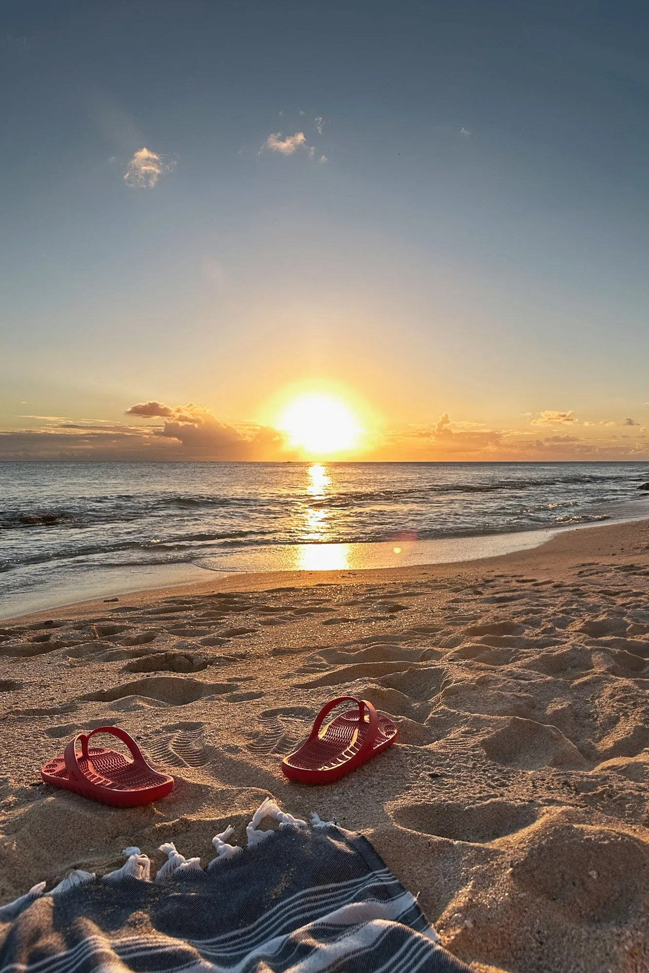 FIRE RED sold by Bermies product image thumbnail 4