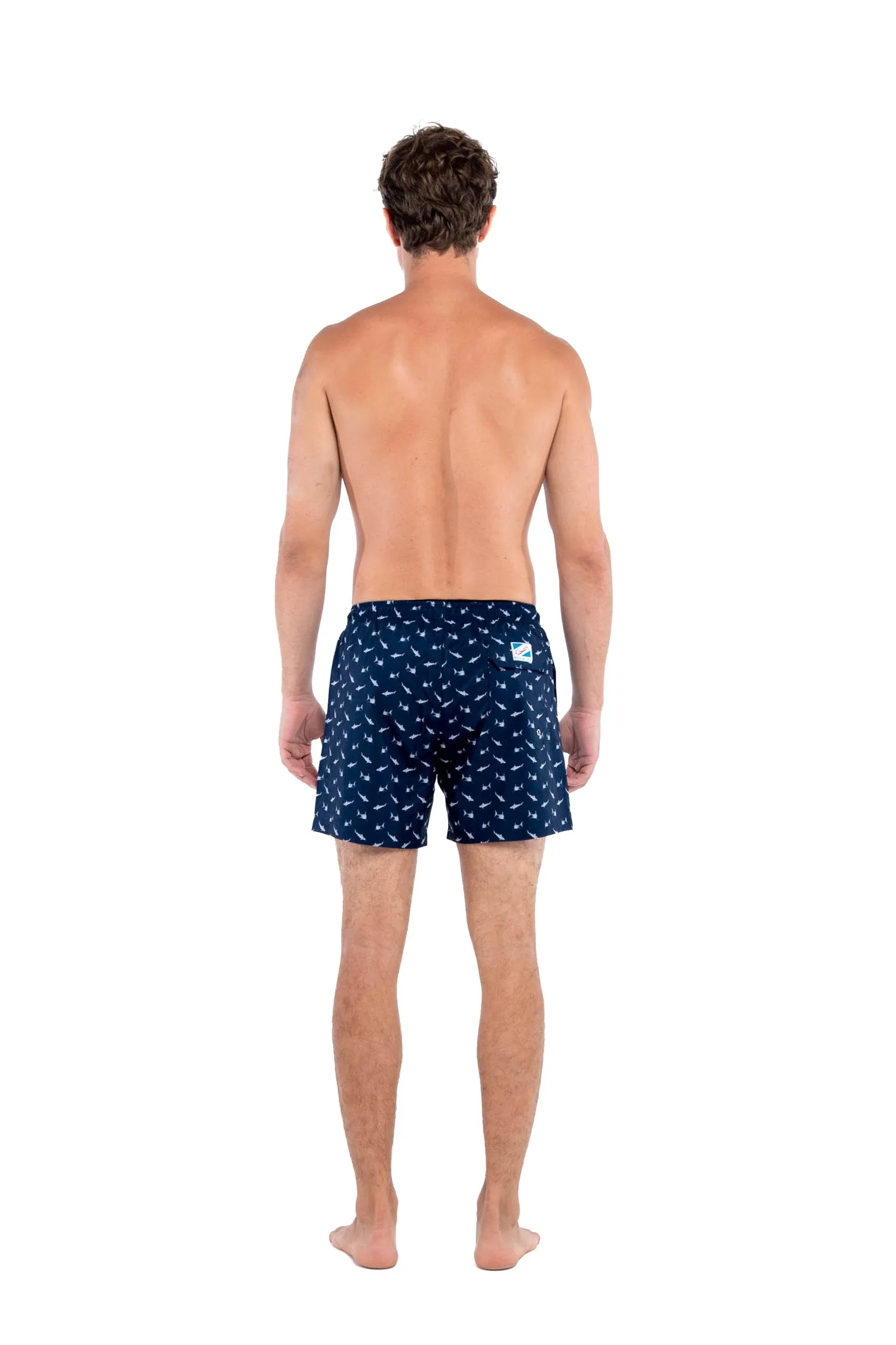 Sharks sold by Bermies product image thumbnail 5