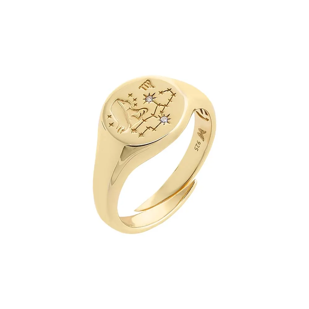 Zodiac Signet Pinky Ring sold by Adina Eden's product image thumbnail 3