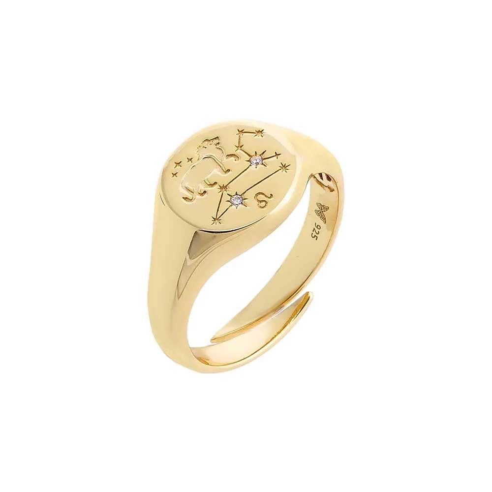 Zodiac Signet Pinky Ring sold by Adina Eden's product image thumbnail 4