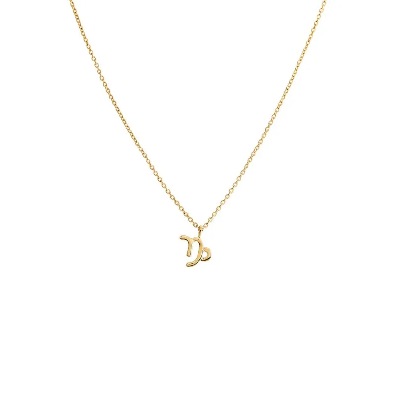 Solid Zodiac Necklace 14K sold by Adina Eden's