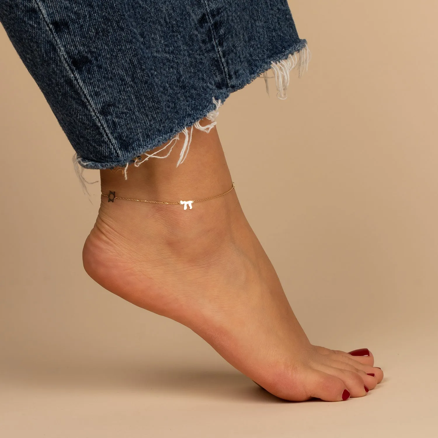 Solid Jewish Charms Anklet 14K sold by Adina Eden's product image thumbnail 2