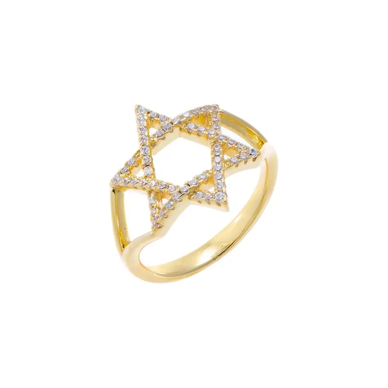 Pave Star Of David Double Row Ring made by Adina Eden's