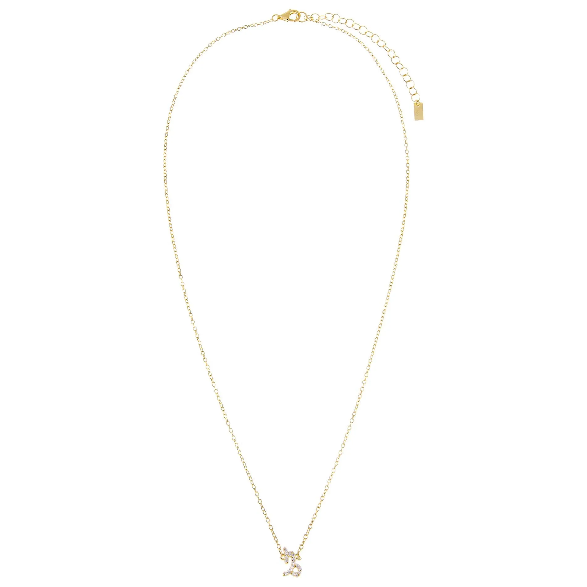 Pavé Zodiac Necklace sold by Adina Eden's product image thumbnail 3