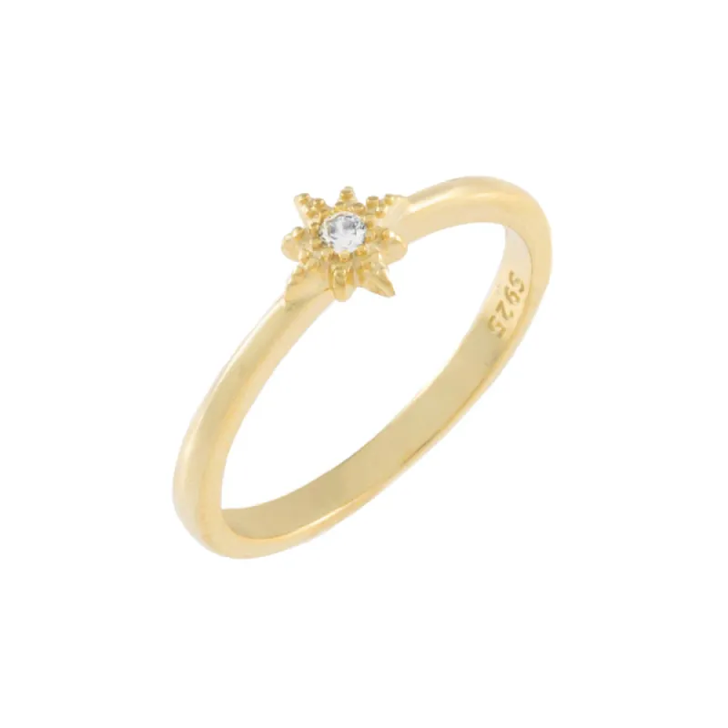 Pavé Star Ring sold by Adina Eden's
