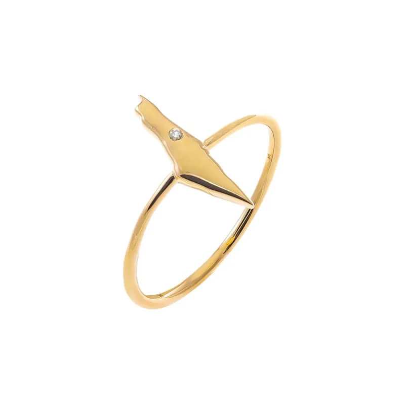 Diamond Bezel Map Of Israel Ring 14K sold by Adina Eden's
