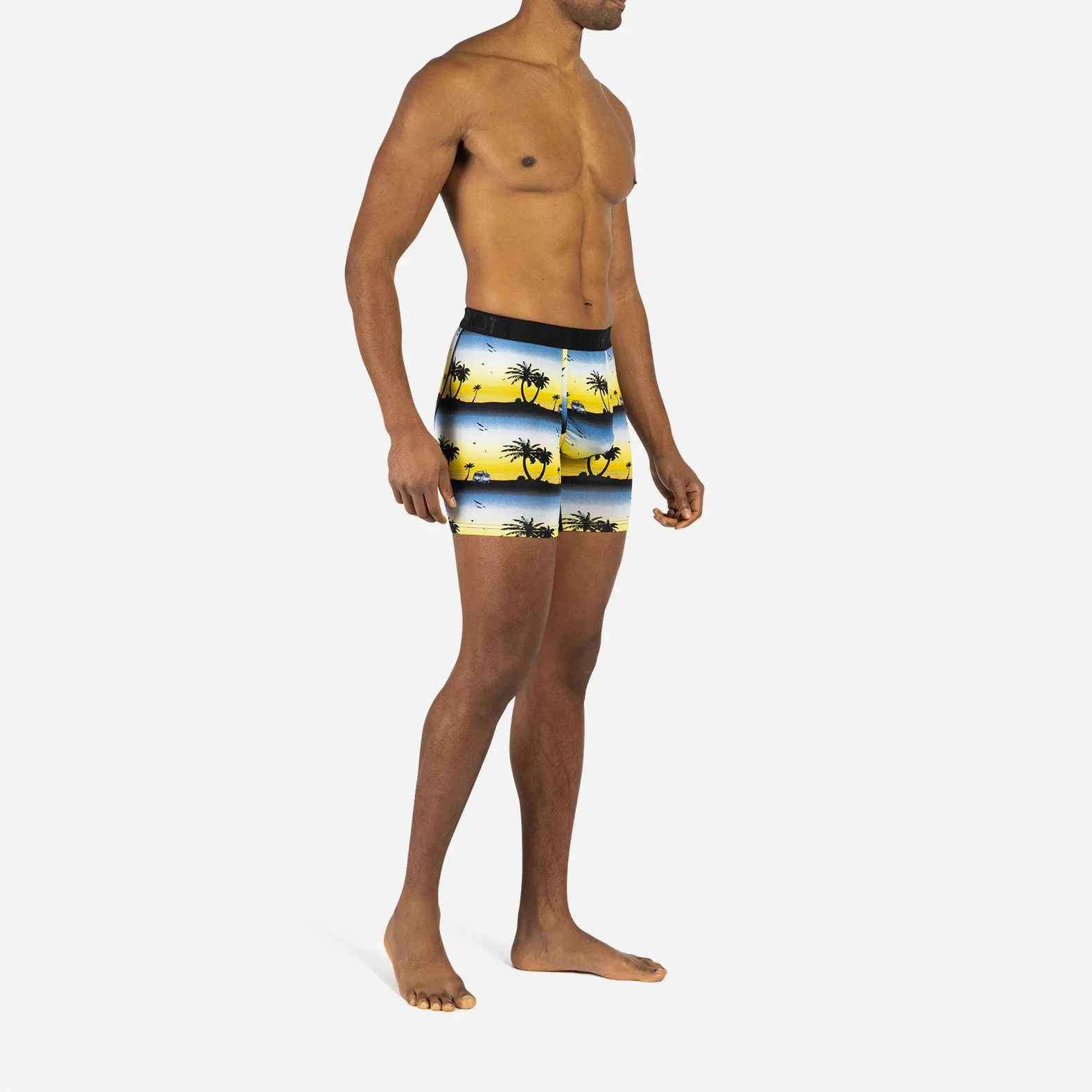 CLASSIC BOXER BRIEF: PLAYA VAN ILLUMINATING sold by BN3TH product image thumbnail 5