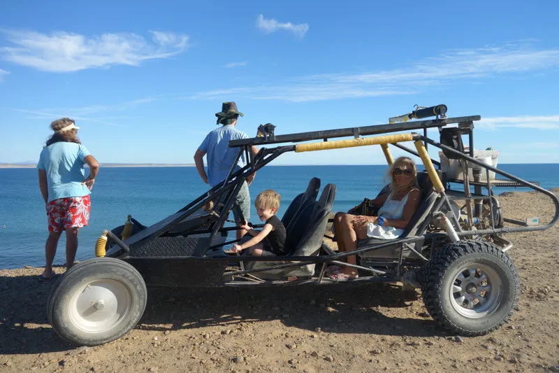"beat the system" Crewneck sold by Lingua Franca NYC product image thumbnail 4