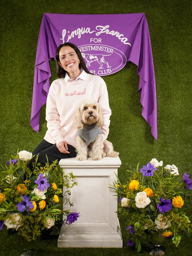 Custom Name Dog Sweater sold by Lingua Franca NYC product image thumbnail 4