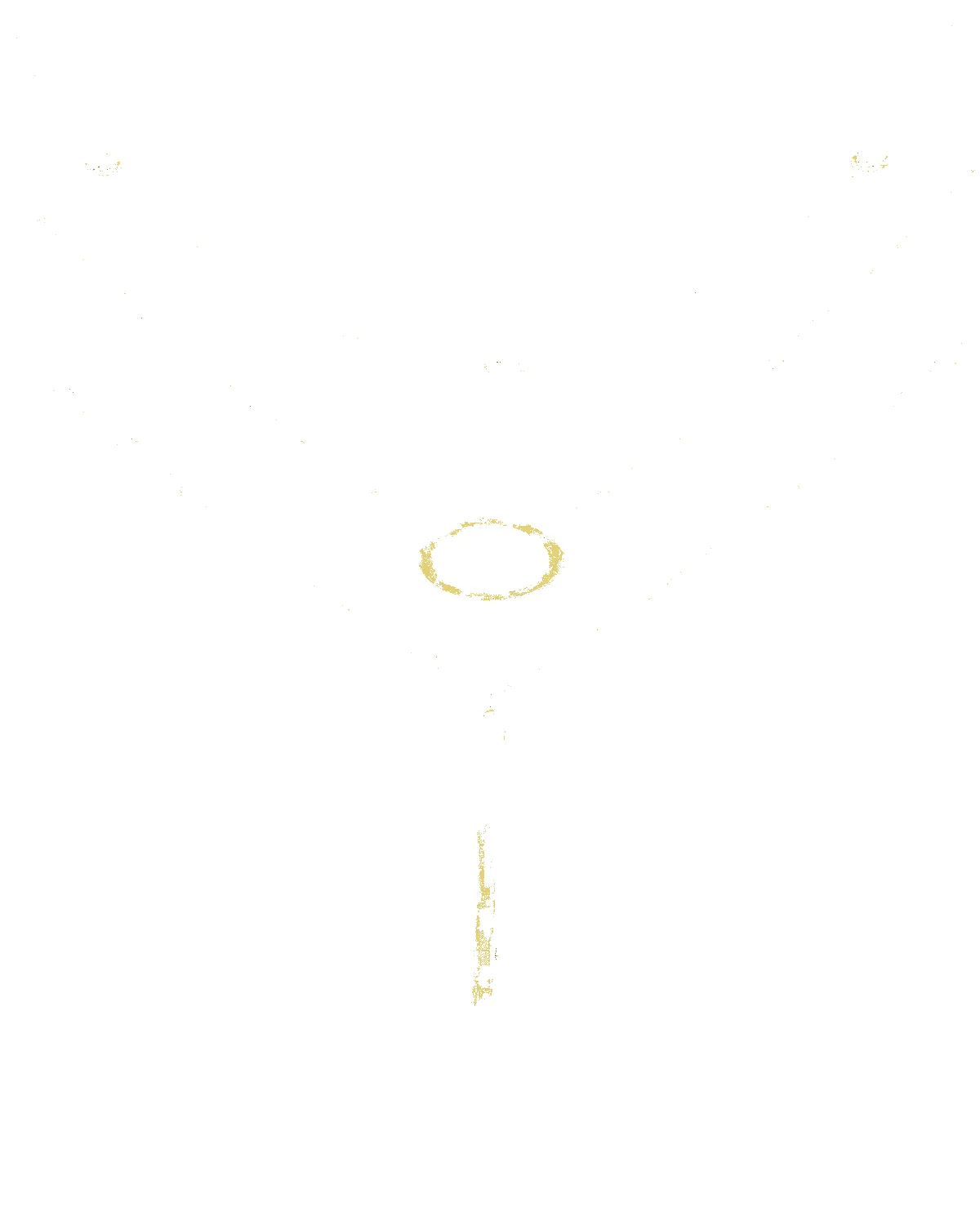 18K Gold Layering Chain Necklaces Set sold by Mason & Madison Co.