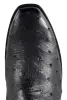 Stallion Full Quill Ostrich Zorro Ankle Boots - Black sold by Pinto Ranch