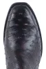 Stallion Full Quill Ostrich Zorro Ankle Boots - Black Cherry sold by Pinto Ranch
