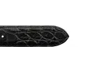 Chacon 1.5" Matte Alligator Straight Belt Strap sold by Pinto Ranch