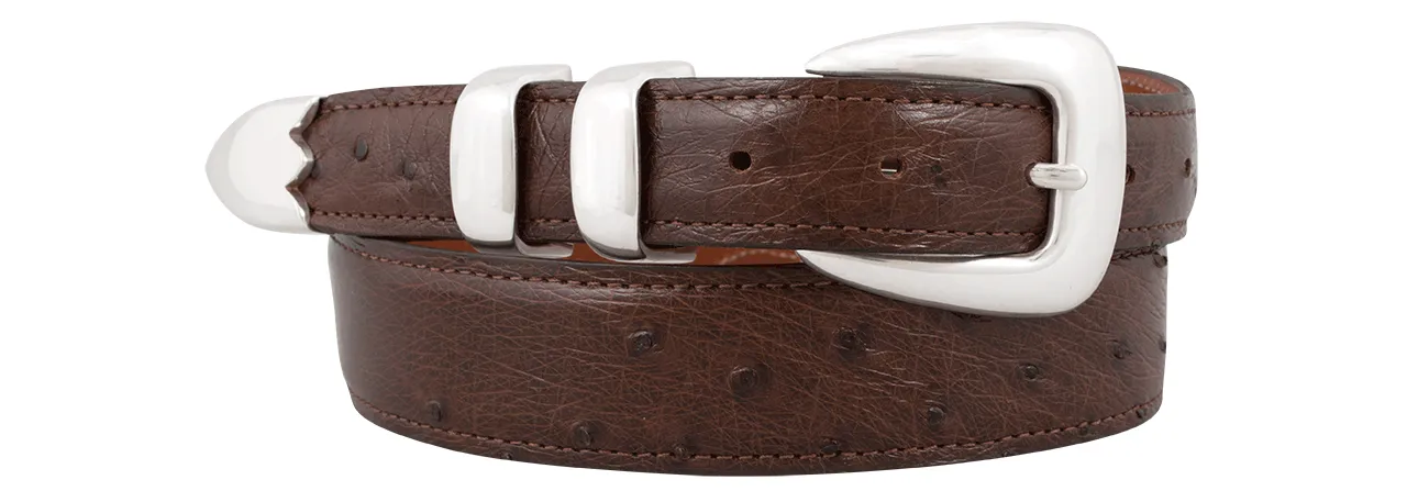 Chacon 1.25" Smooth Ostrich Tapered Belt sold by Pinto Ranch product image thumbnail 4