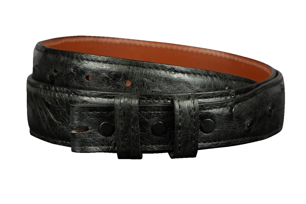 Chacon 1.25" Full-Quill Ostrich Tapered Belt Strap sold by Pinto Ranch