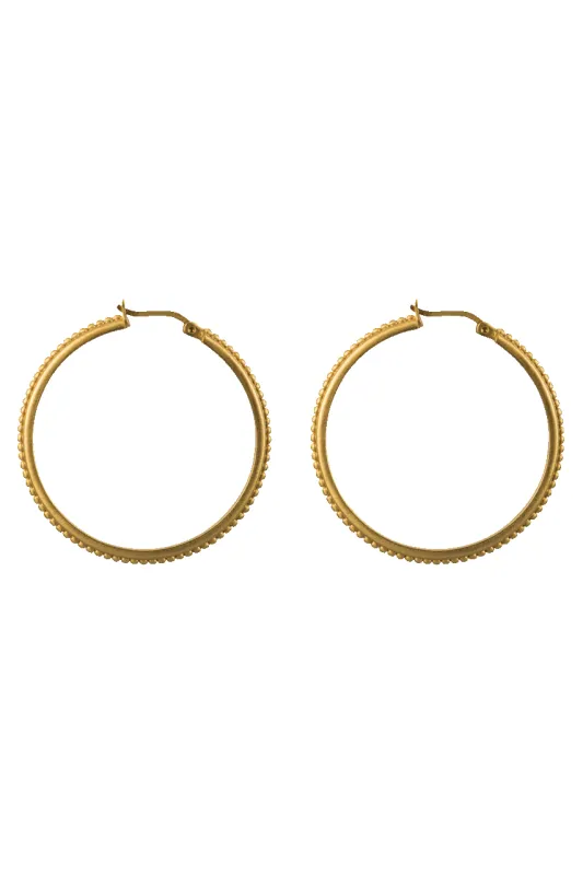 Christina Greene Gold Studded Hoop Earrings sold by Pinto Ranch