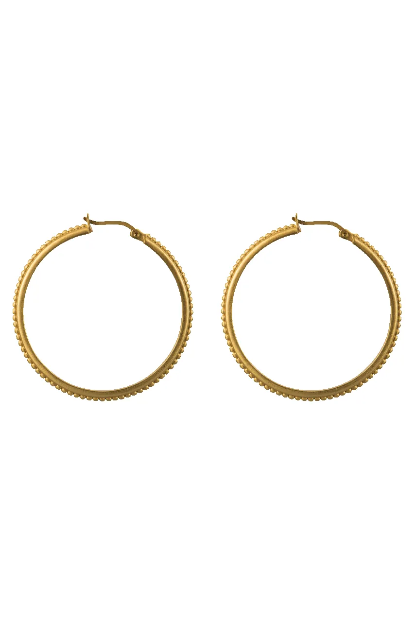 Christina Greene Gold Studded Hoop Earrings sold by Pinto Ranch