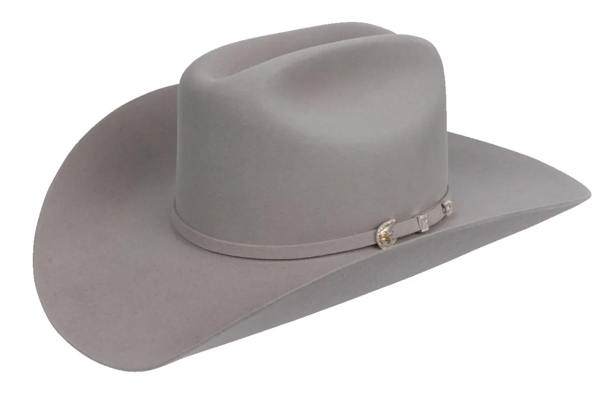 Stetson 10X Shasta Felt Cowboy Hat - Gray sold by Pinto Ranch