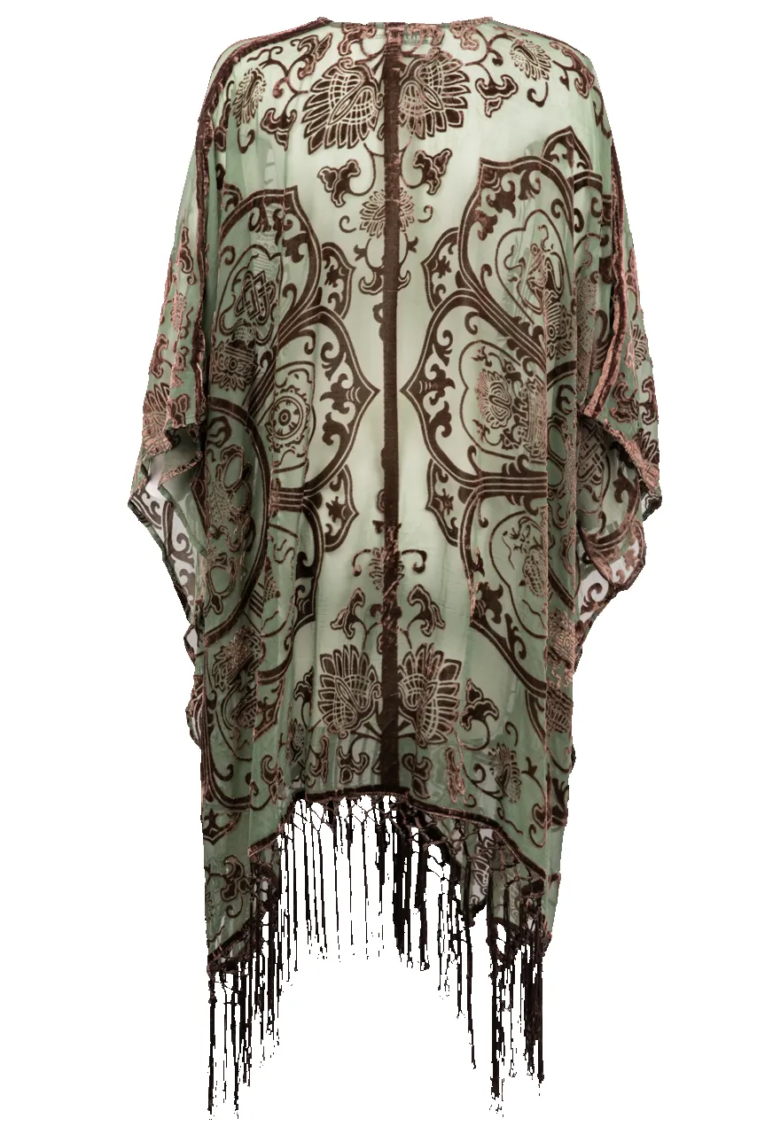 Paparazzi Floral Velvet Kimono sold by Pinto Ranch product image thumbnail 4