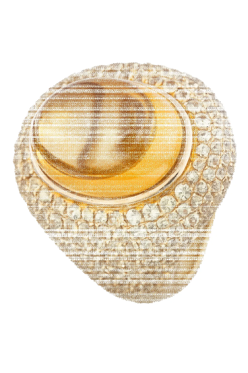 Yellow Sapphire & Diamond Dome Statement Ring sold by Pinto Ranch