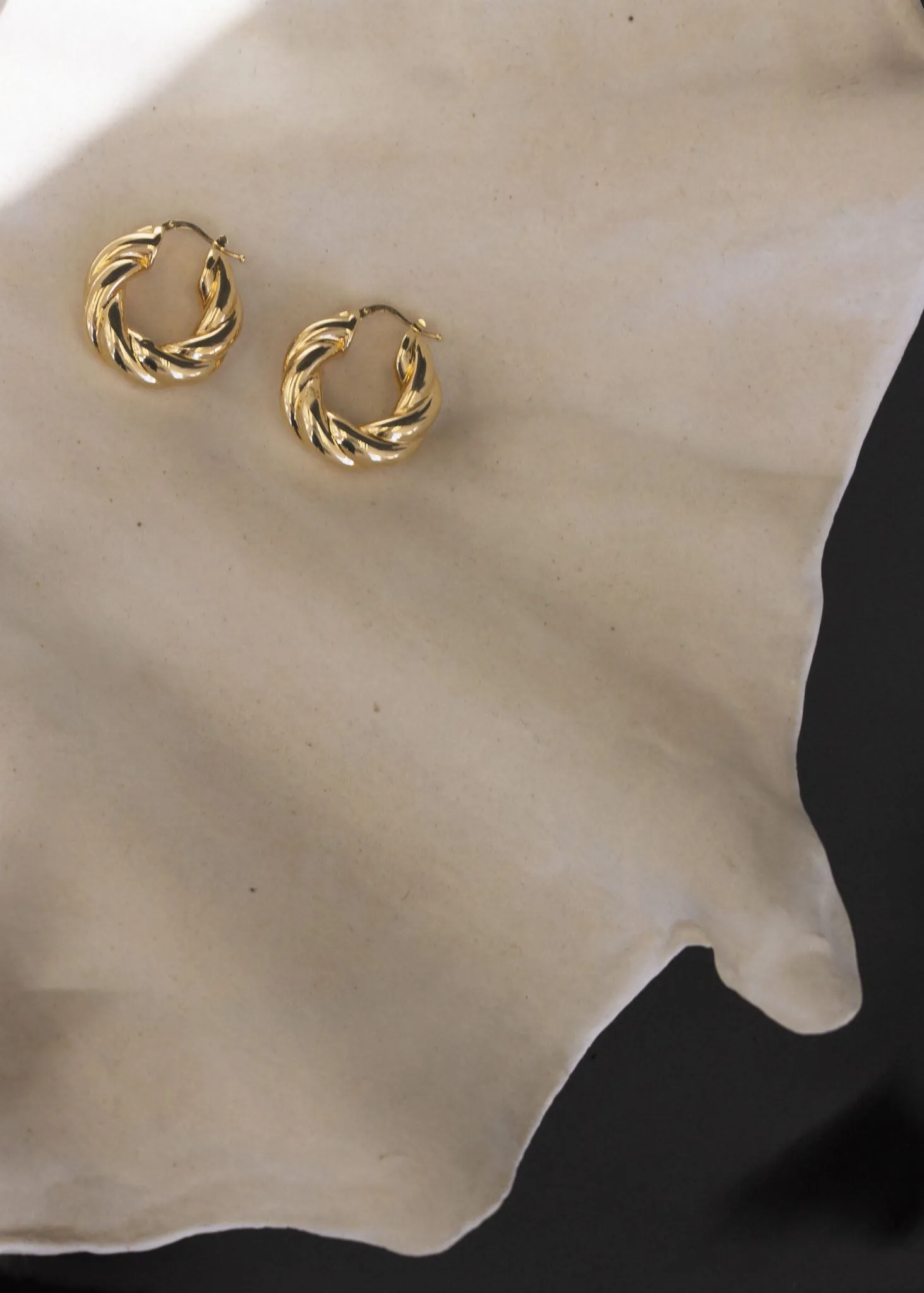 Taylor Twist Hoop Earrings sold by Kinn product image thumbnail 5