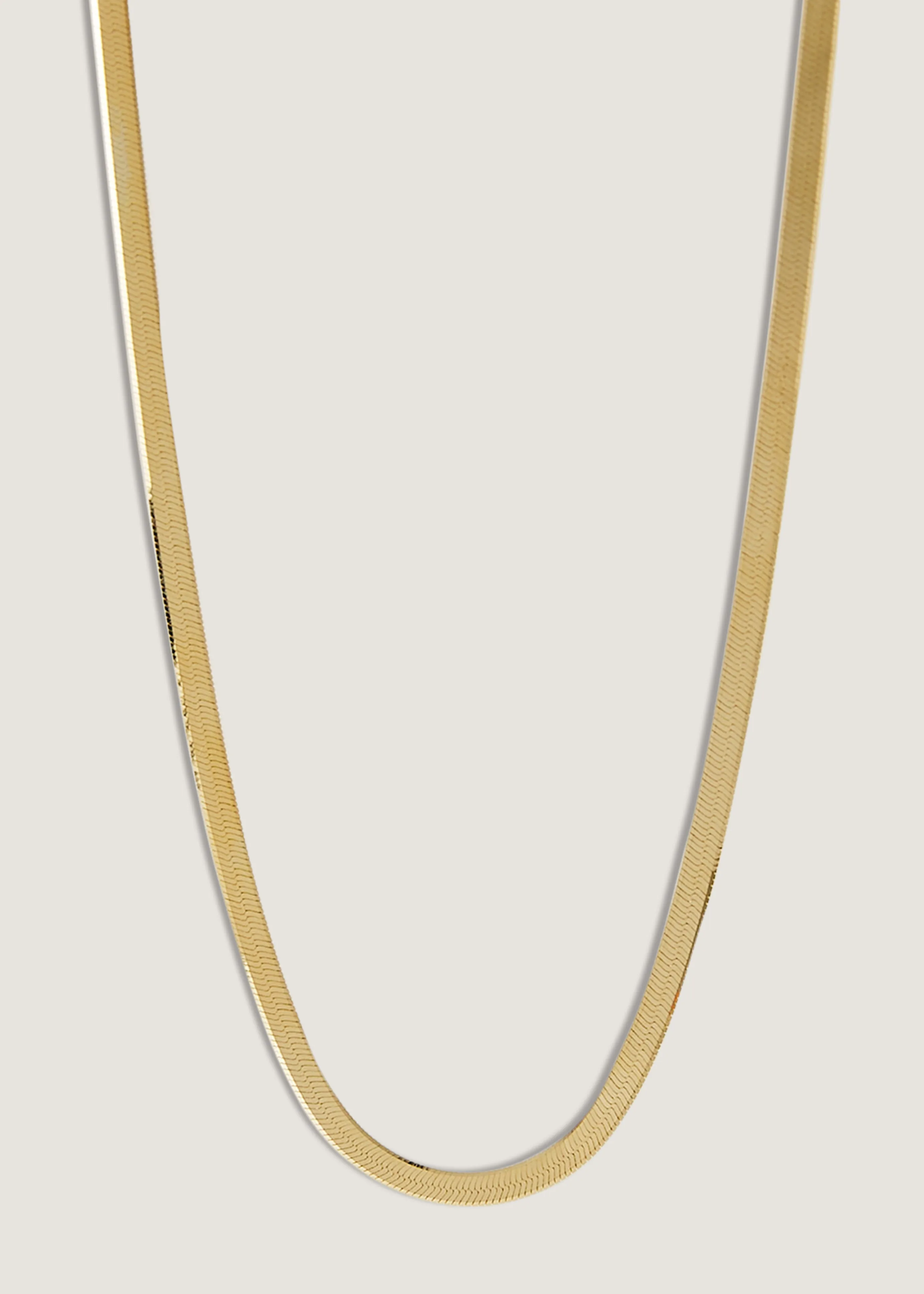 Petite Carter Herringbone Chain Necklace sold by Kinn