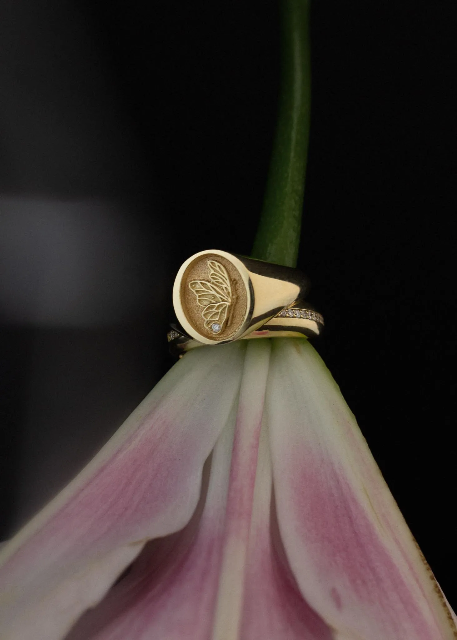 Juliette Butterfly Signet Ring sold by Kinn product image thumbnail 5