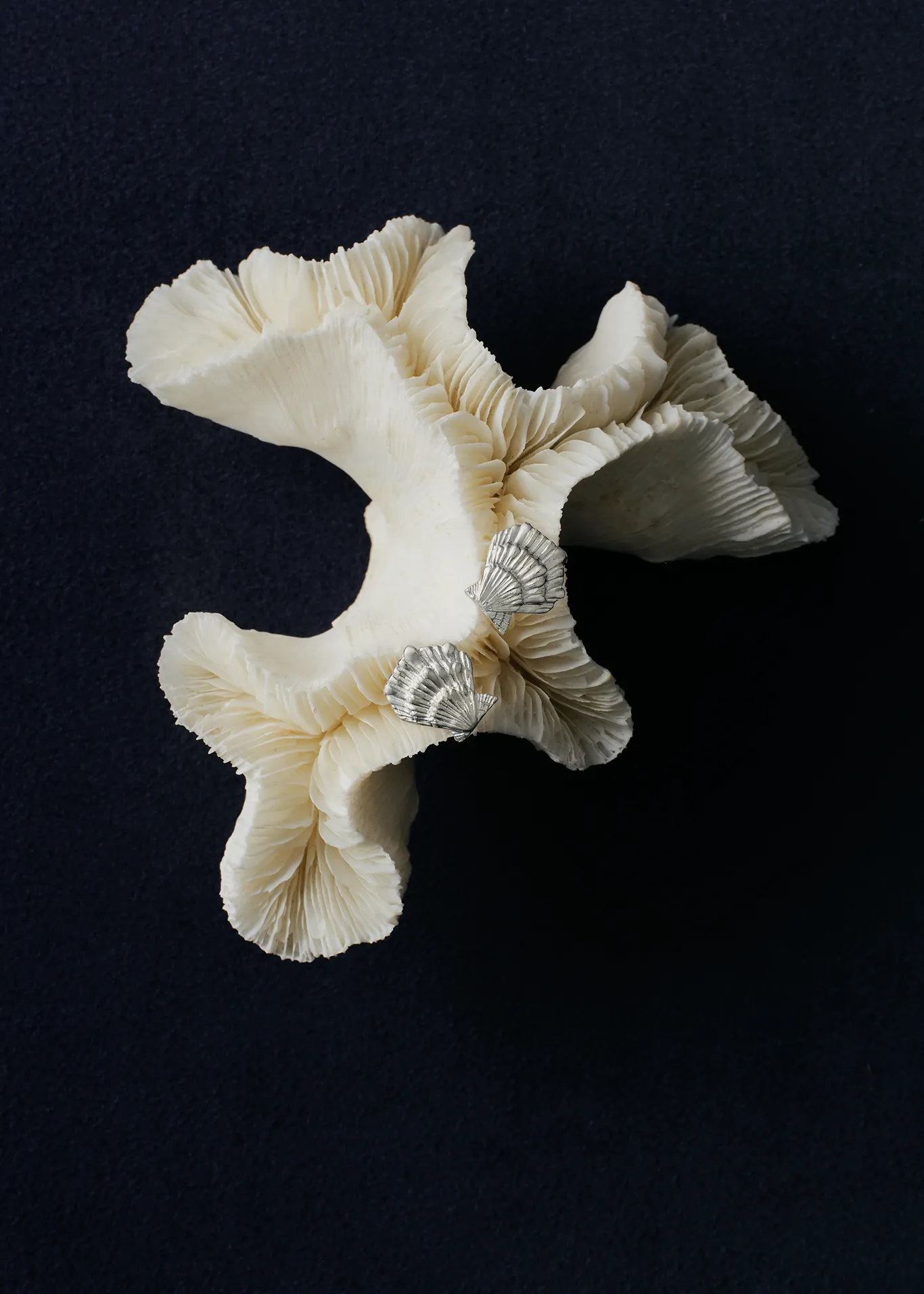 Shell Stud Earrings Silver sold by Kinn product image thumbnail 3