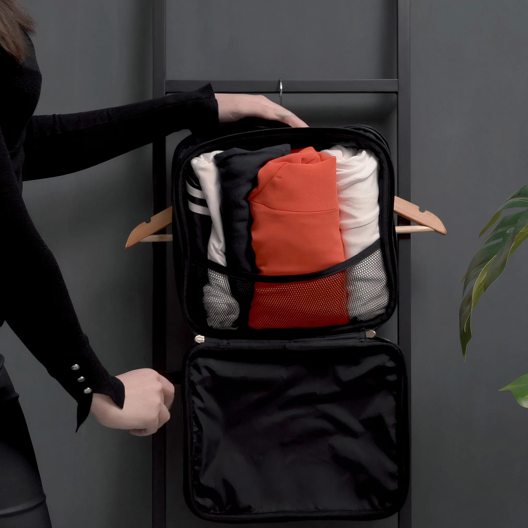 La Mansio One Half-Pack sold by La Mansio product image thumbnail 4