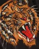 SG Camp Collar Shirt - Wild Tiger sold by Southern Gents