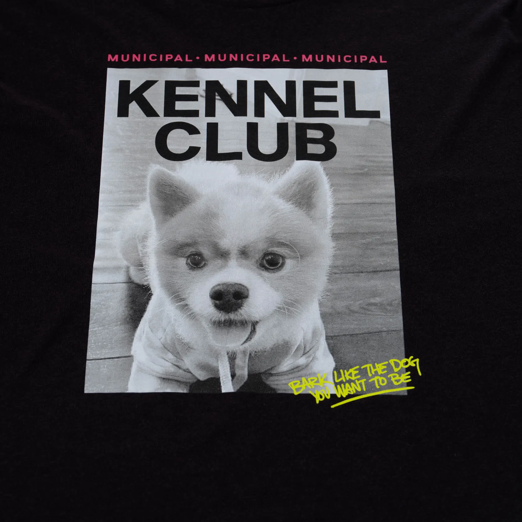 Kennel Club SuperBlend Champ T-Shirt sold by MUNICIPAL product image thumbnail 2