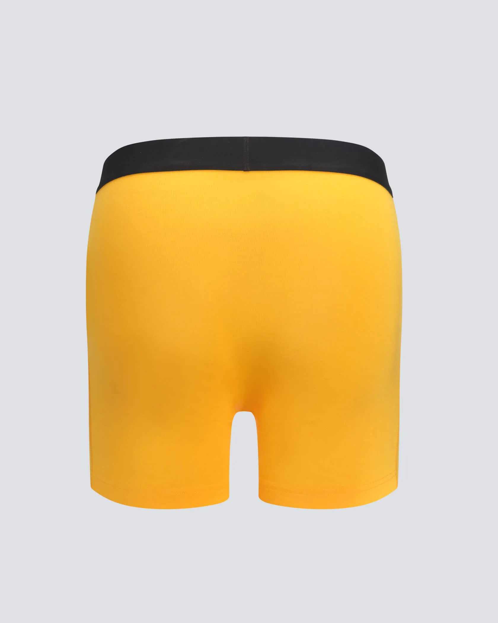 Underdog Boxer Brief sold by MUNICIPAL product image thumbnail 2