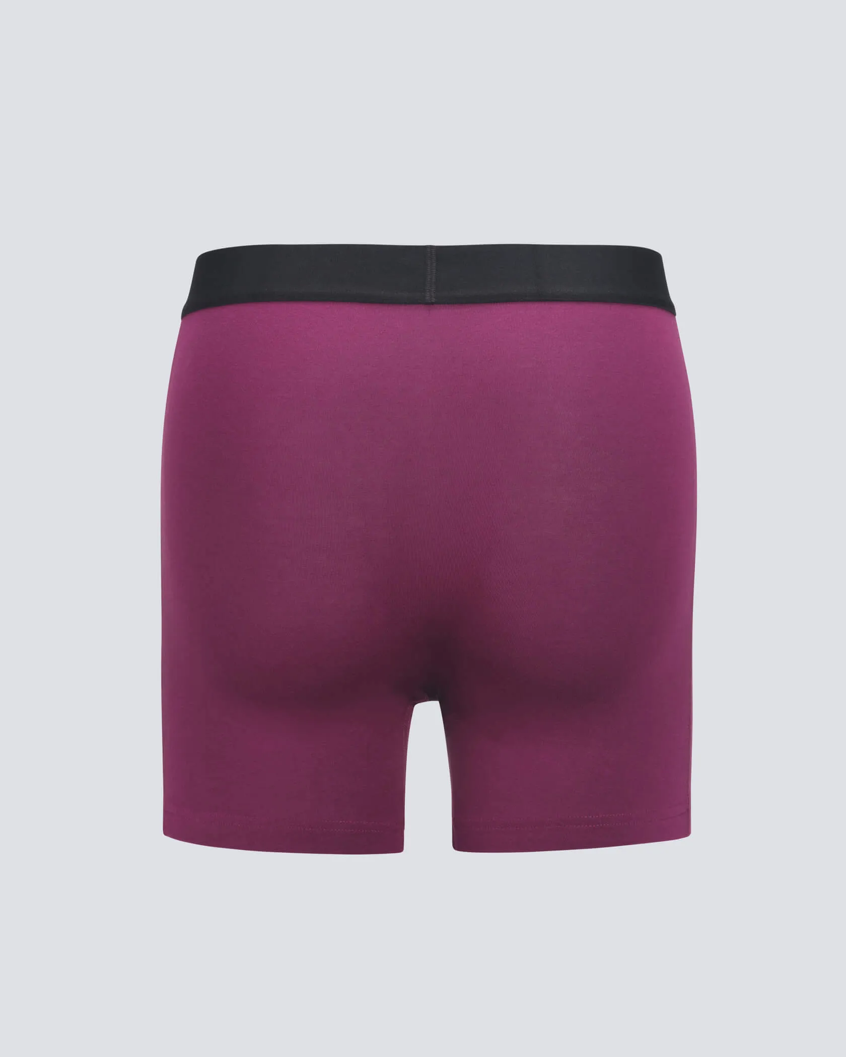 Underdog Boxer Brief sold by MUNICIPAL product image thumbnail 2