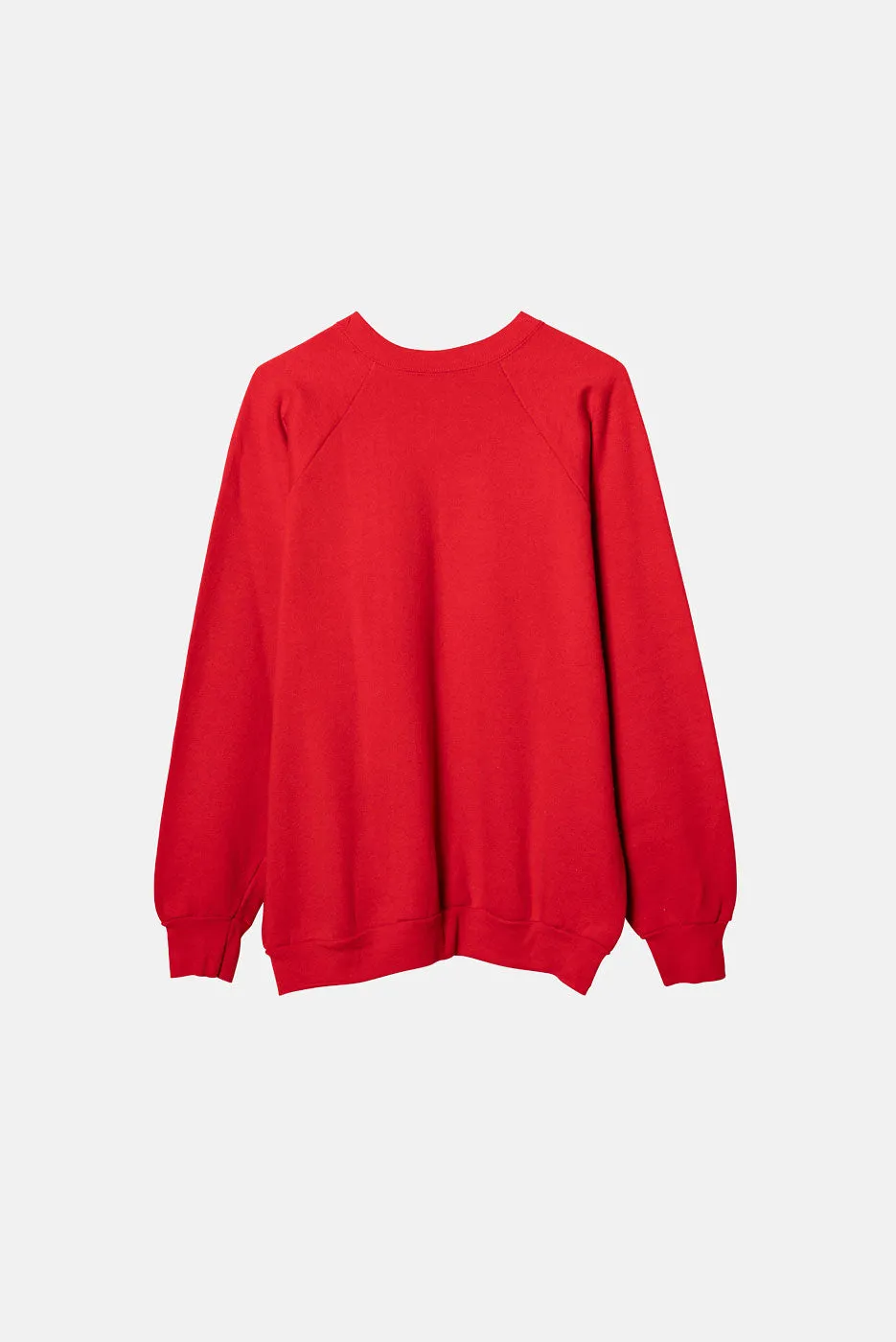 VINTAGE ARGONNER WILDCATS CREWNECK sold by Elwood Clothing product image thumbnail 2