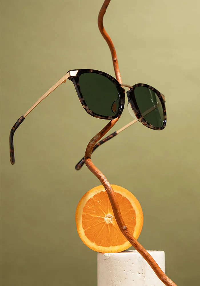 Vega Amber sold by Covry Sunwear product image thumbnail 4