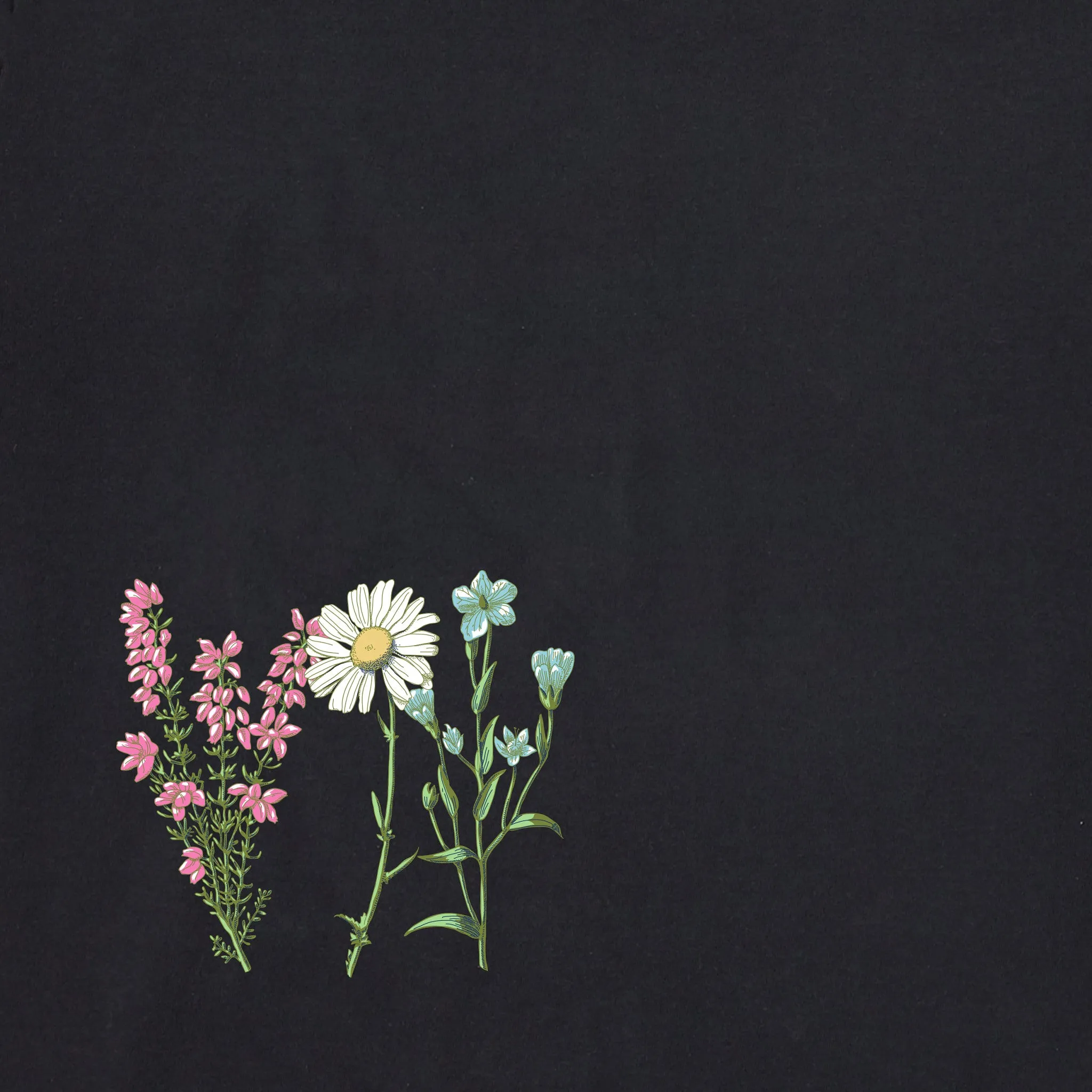 Women's Detailed Wildflower Garden Short Sleeve Crusher Vee sold by Life is Good product image thumbnail 5