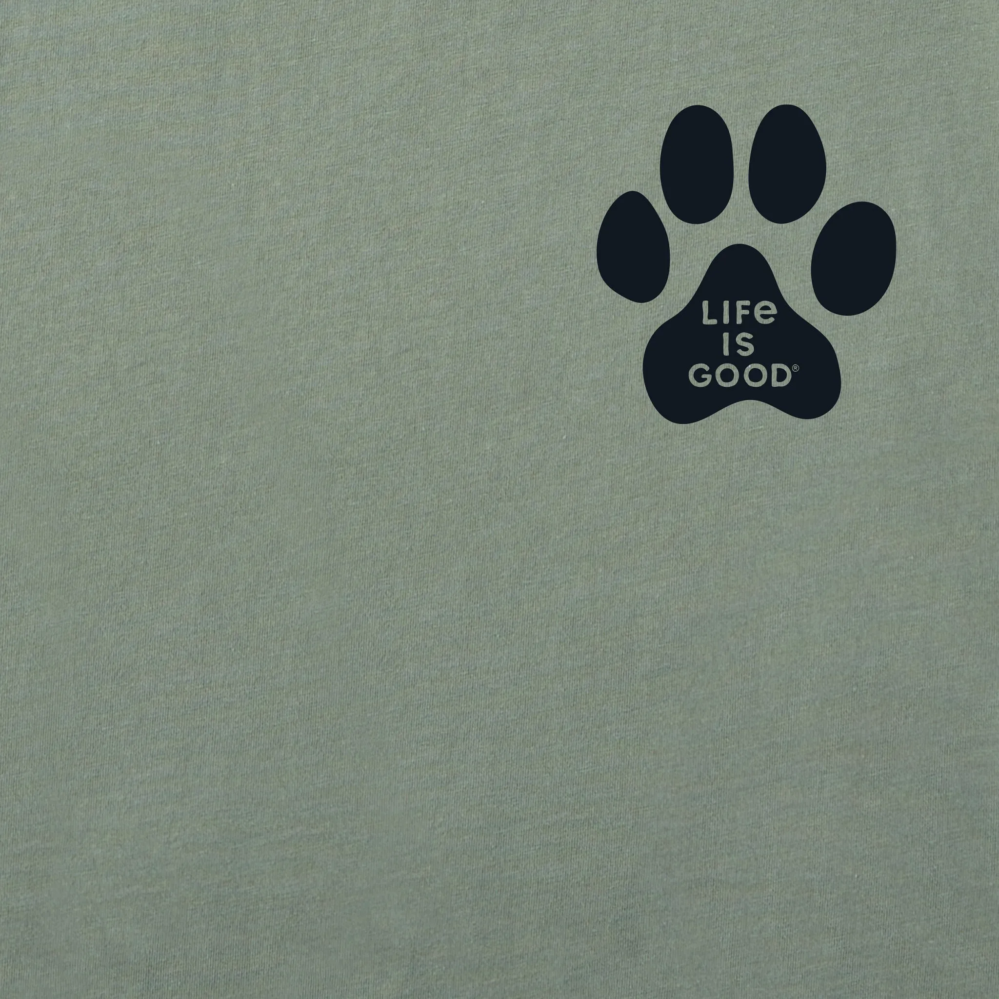 Women's Walking Paws Short Sleeve Crusher Boxy Tee sold by Life is Good product image thumbnail 4