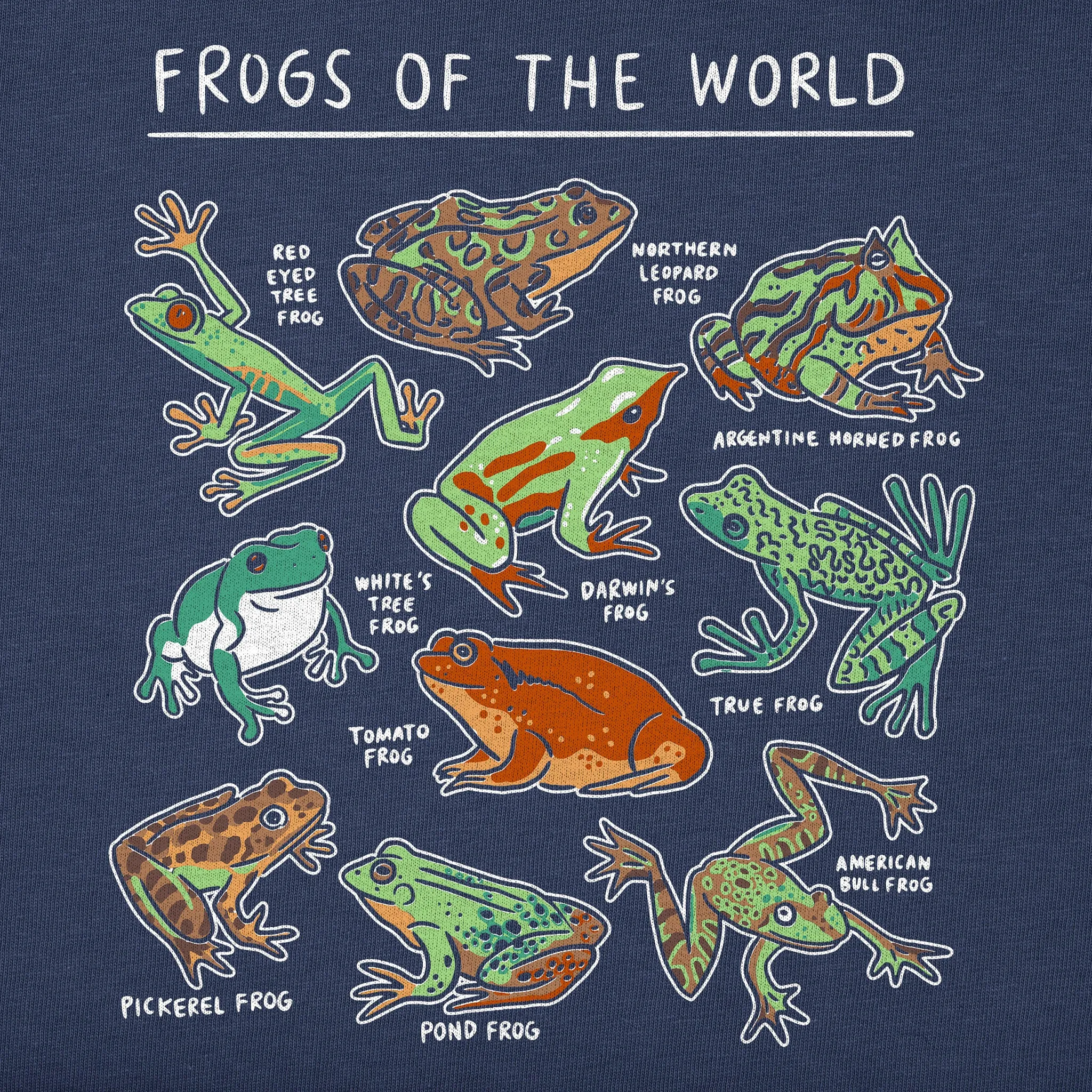 Women's Frogs of the World Short Sleeve Crusher Boxy Tee sold by Life is Good product image thumbnail 3