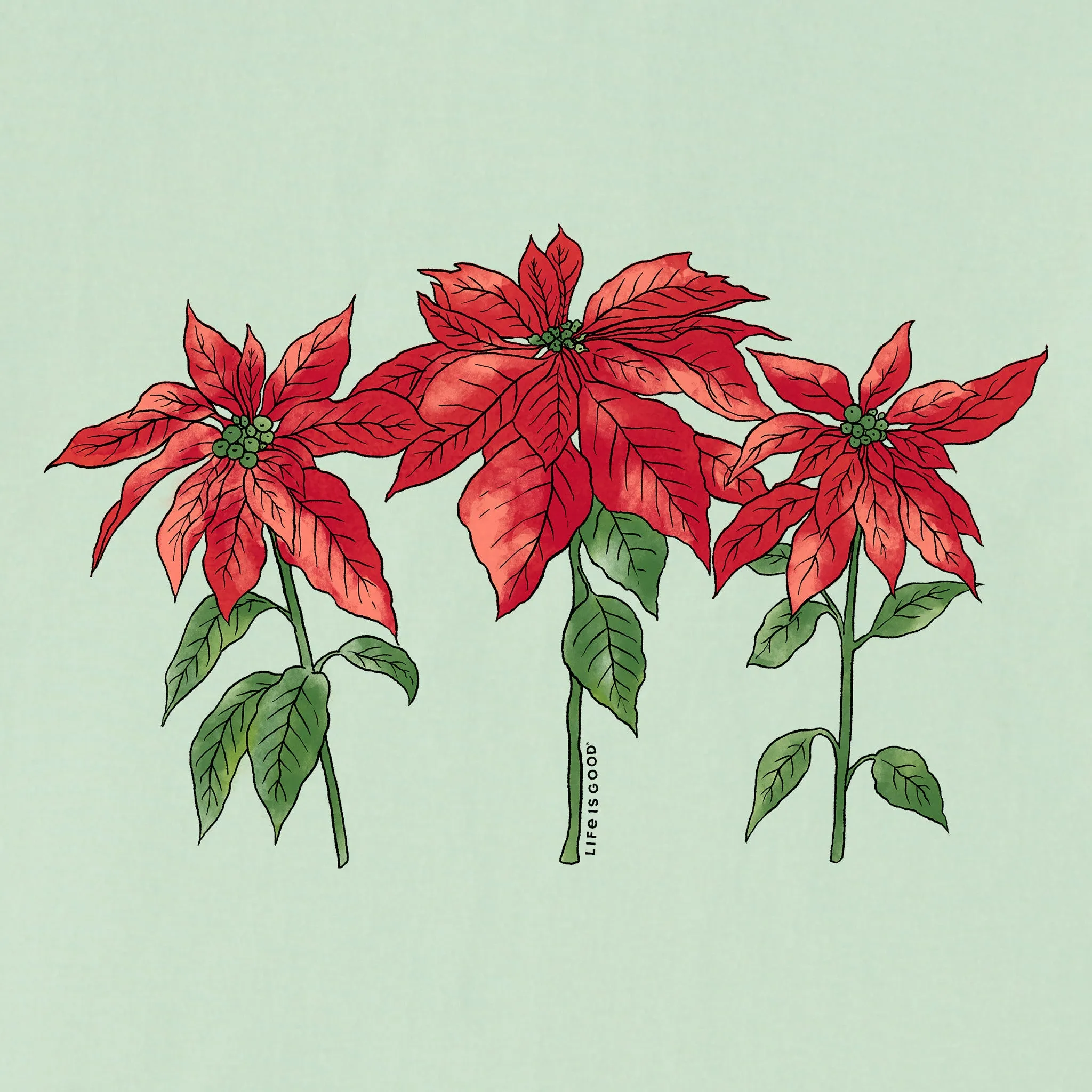 Women's Poinsettias Trio Short Sleeve Crusher Vee sold by Life is Good product image thumbnail 2