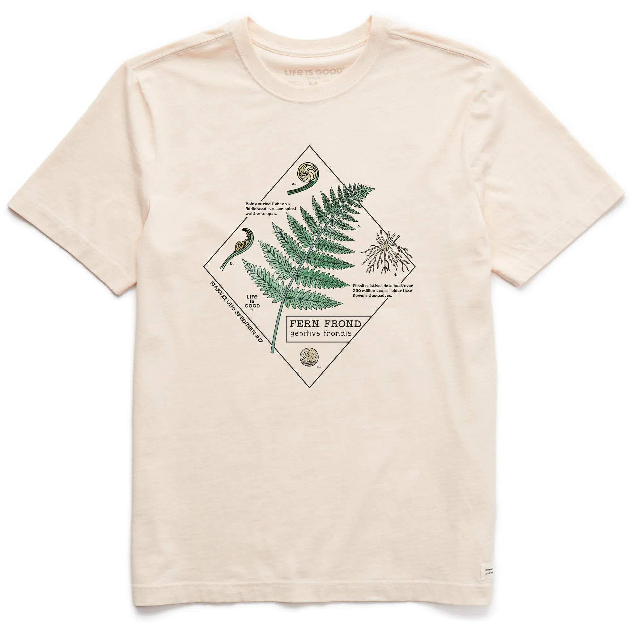 Men's Marvelous Ferns Short Sleeve Crusher Tee sold by Life is Good