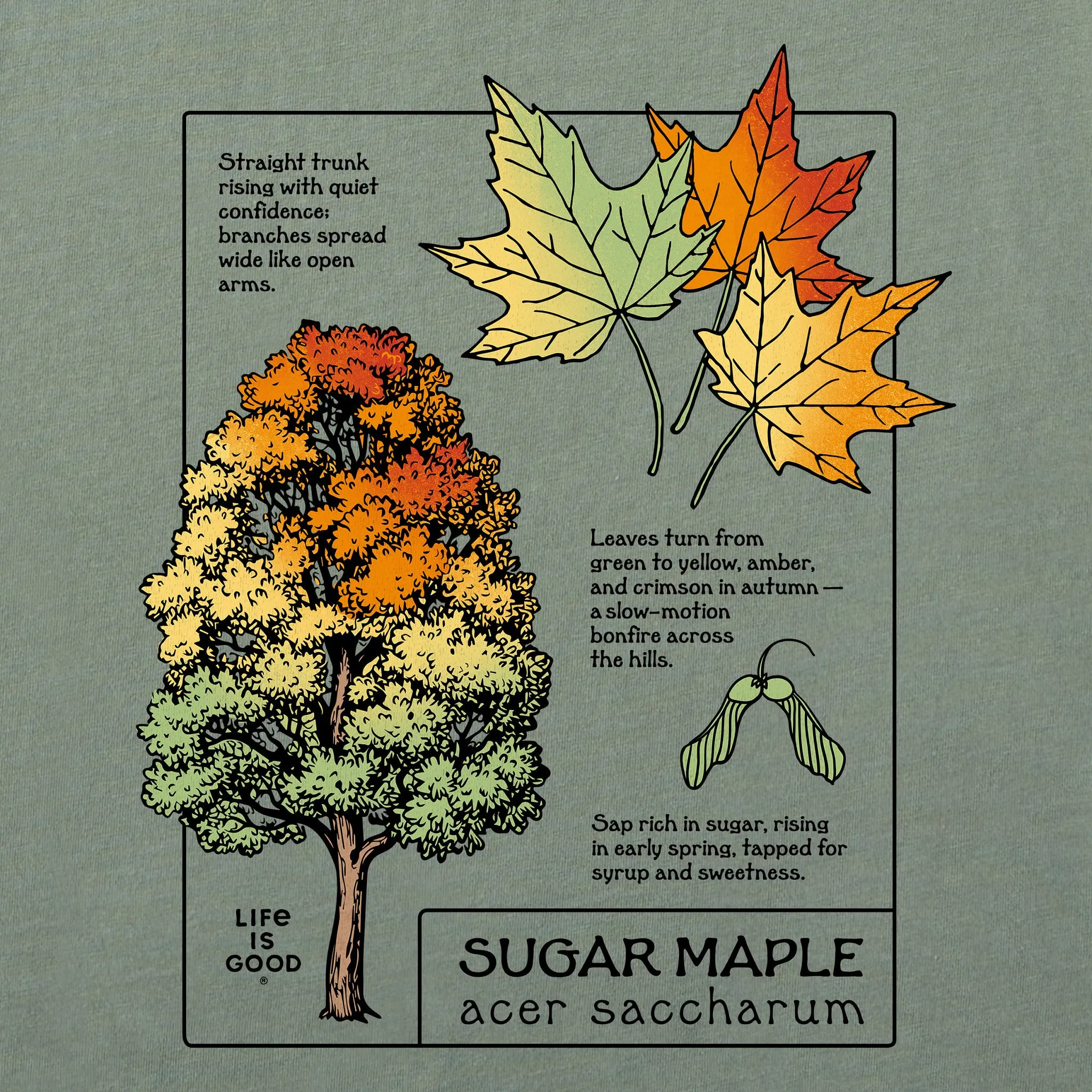 Men's Marvelous Sugar Maple Short Sleeve Crusher Tee sold by Life is Good product image thumbnail 2