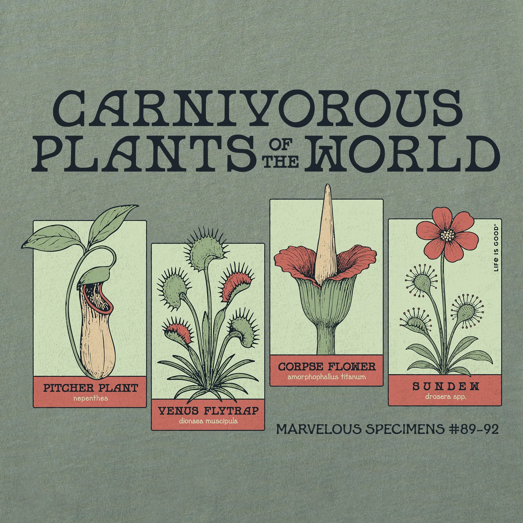 Men's Carnivorous Plants Short Sleeve Crusher Tee sold by Life is Good product image thumbnail 2