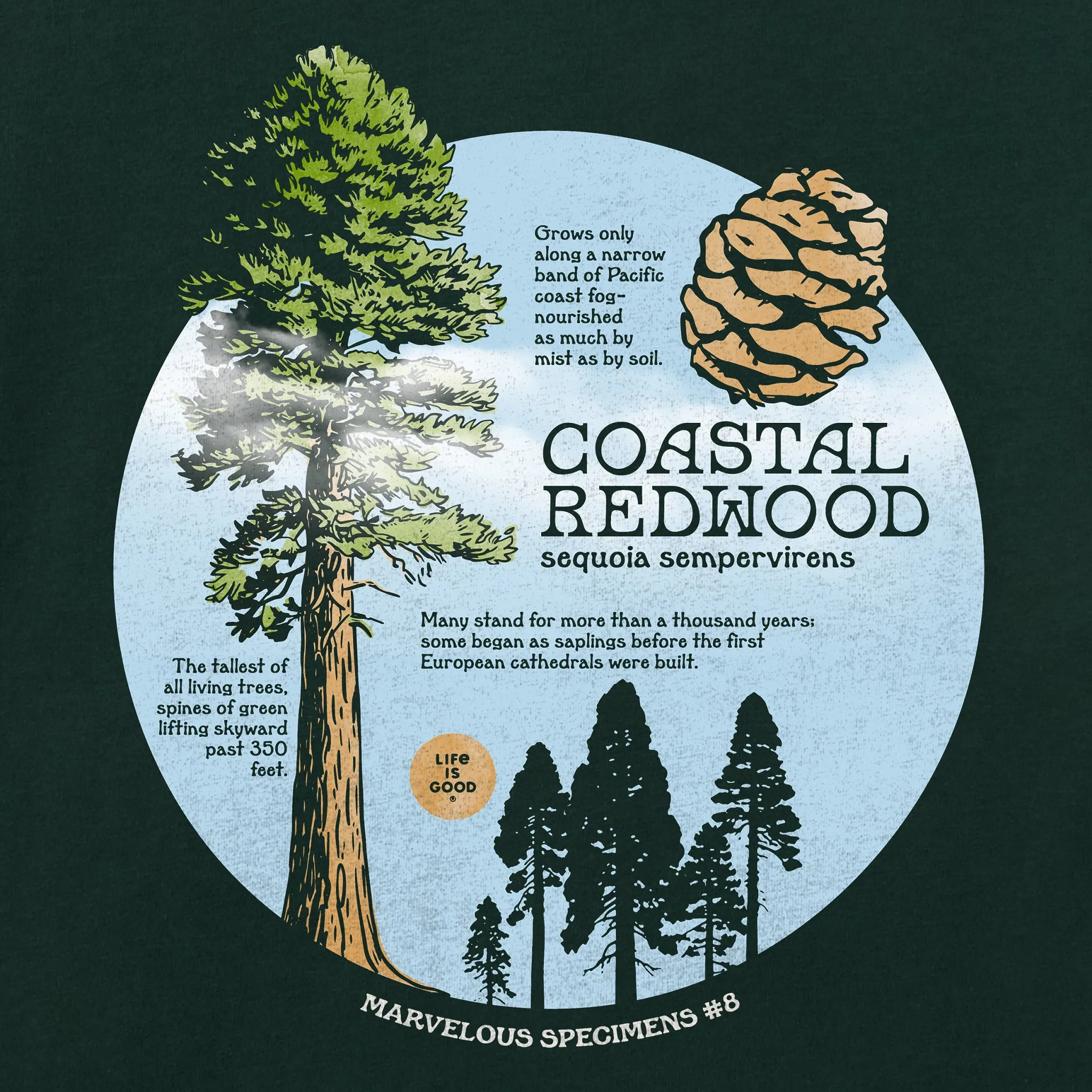 Men's Coastal Redwood Long Sleeve Crusher Tee sold by Life is Good product image thumbnail 2
