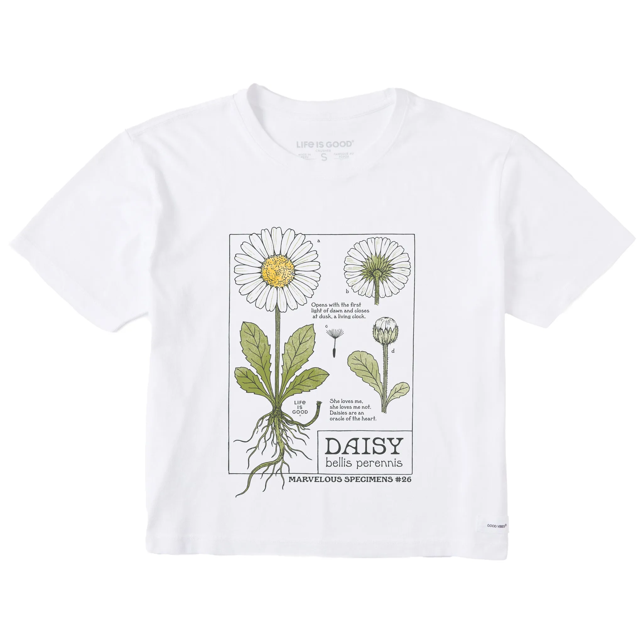 Women's Marvelous Daisy Short Sleeve Crusher Boxy Tee sold by Life is Good