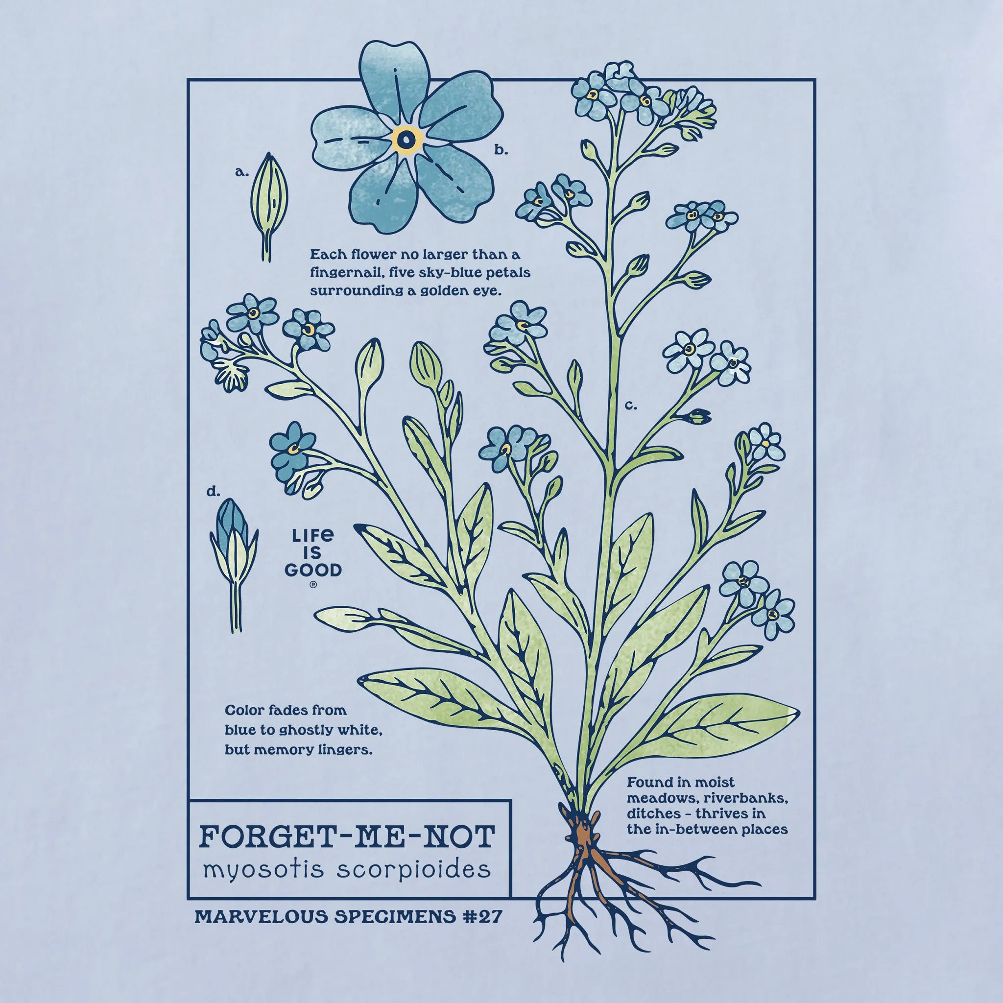 Women's Marvelous Forget Me Not Short Sleeve Crusher Tee sold by Life is Good product image thumbnail 2