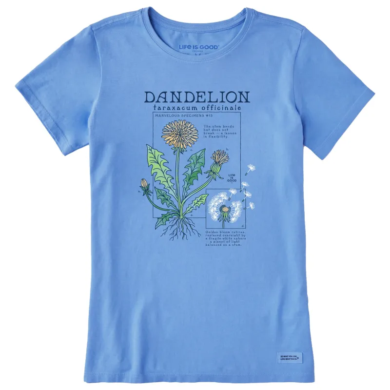 Women's Marvelous Dandelion Short Sleeve Crusher Tee sold by Life is Good