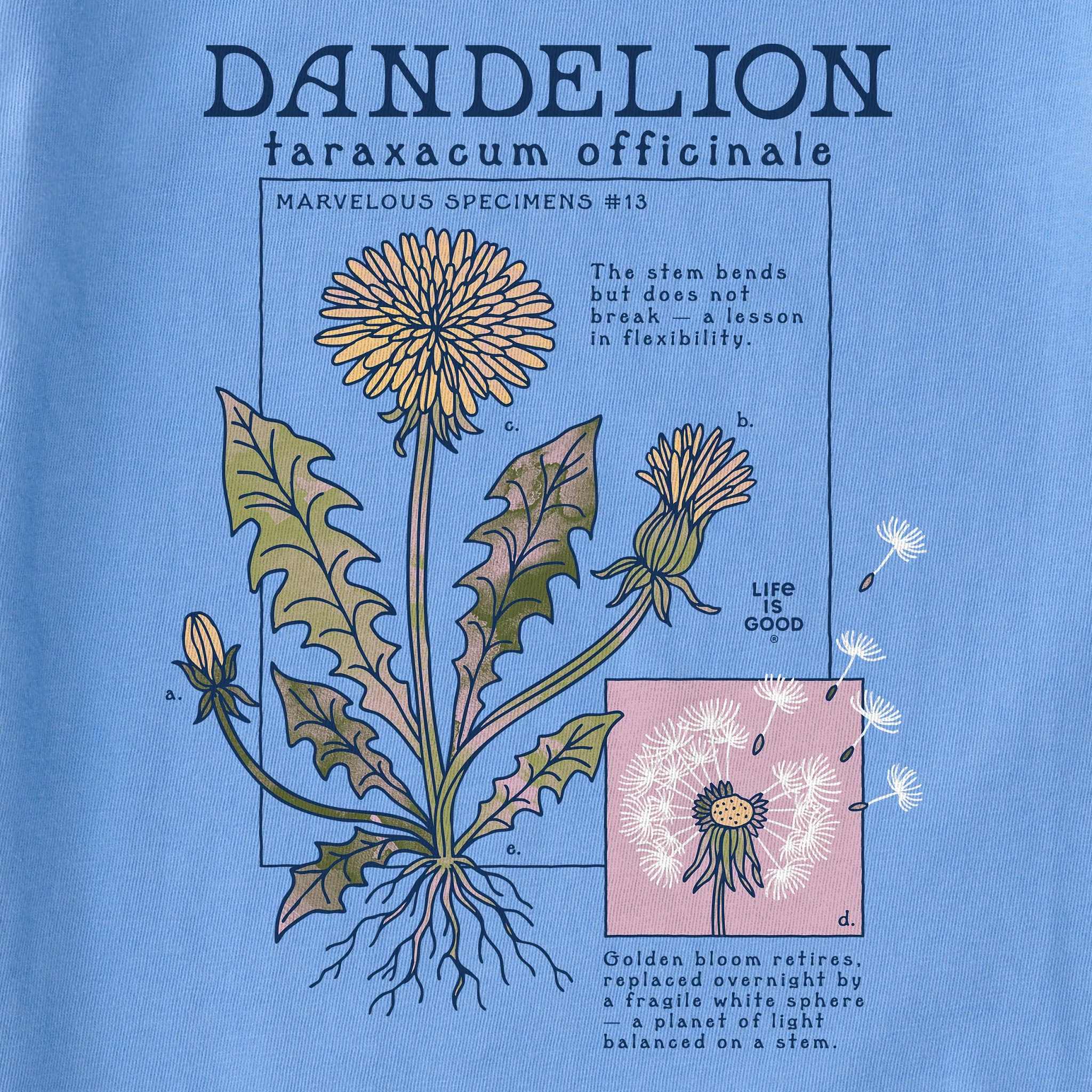 Women's Marvelous Dandelion Short Sleeve Crusher Tee sold by Life is Good product image thumbnail 2